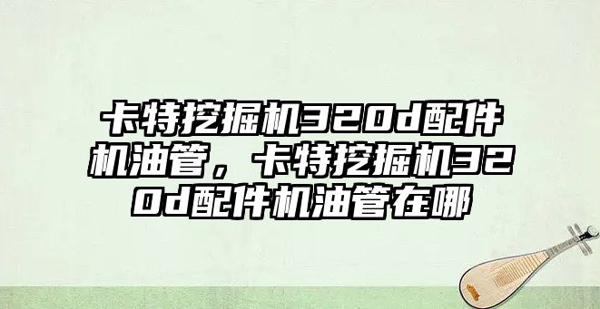 卡特挖掘機(jī)320d配件機(jī)油管，卡特挖掘機(jī)320d配件機(jī)油管在哪