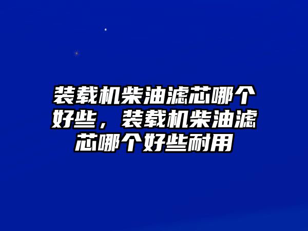 裝載機(jī)柴油濾芯哪個(gè)好些，裝載機(jī)柴油濾芯哪個(gè)好些耐用