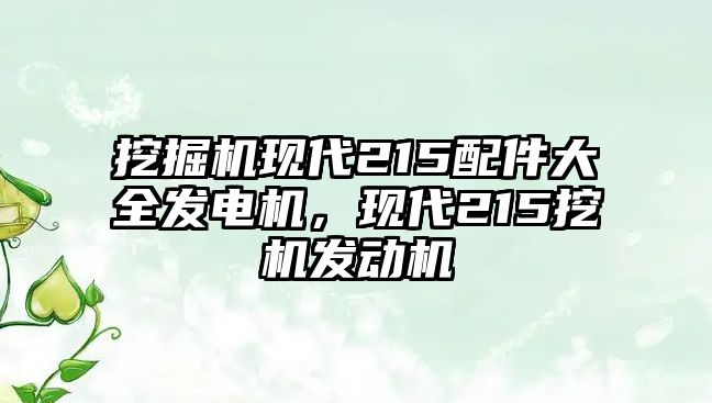 挖掘機(jī)現(xiàn)代215配件大全發(fā)電機(jī)，現(xiàn)代215挖機(jī)發(fā)動機(jī)