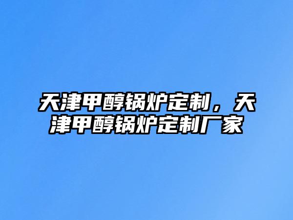 天津甲醇鍋爐定制，天津甲醇鍋爐定制廠家