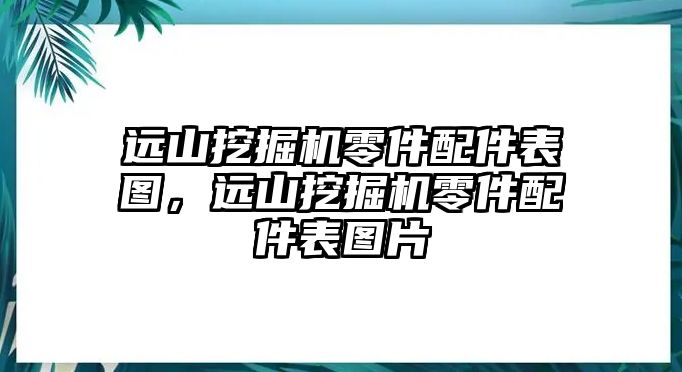 遠山挖掘機零件配件表圖，遠山挖掘機零件配件表圖片