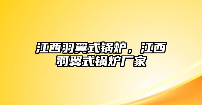 江西羽翼式鍋爐，江西羽翼式鍋爐廠家