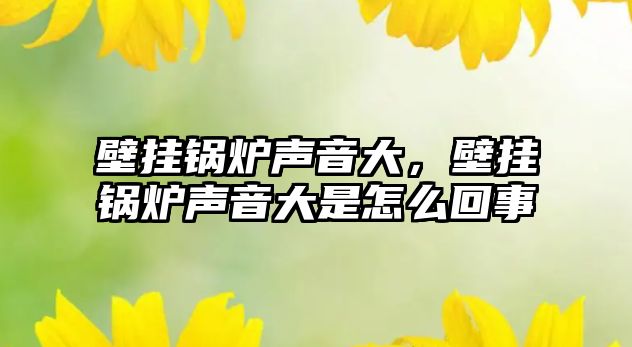 壁掛鍋爐聲音大，壁掛鍋爐聲音大是怎么回事