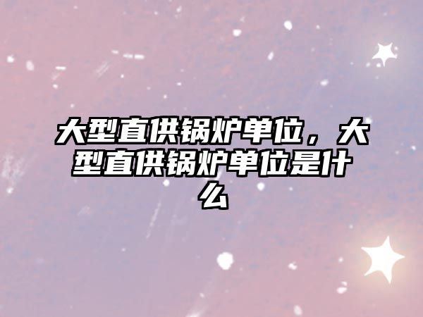 大型直供鍋爐單位，大型直供鍋爐單位是什么