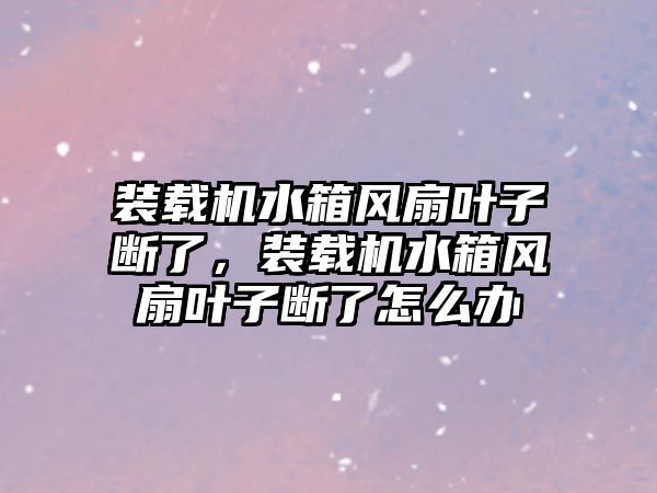 裝載機水箱風(fēng)扇葉子斷了，裝載機水箱風(fēng)扇葉子斷了怎么辦