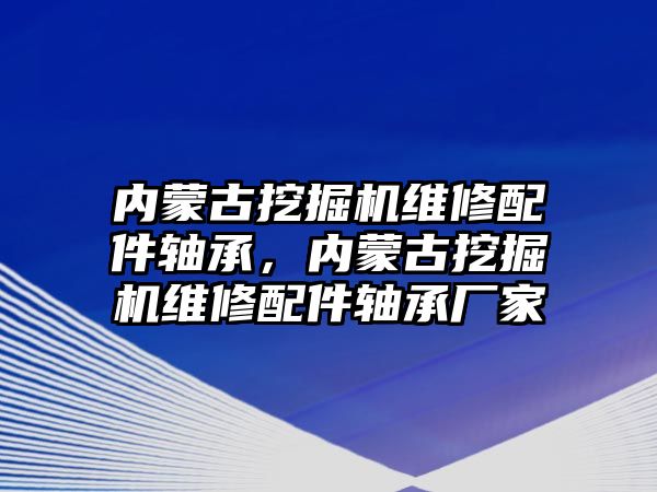 內(nèi)蒙古挖掘機維修配件軸承，內(nèi)蒙古挖掘機維修配件軸承廠家