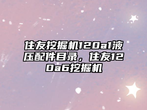 住友挖掘機(jī)120a1液壓配件目錄，住友120a6挖掘機(jī)