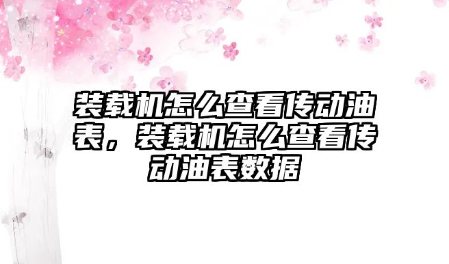 裝載機怎么查看傳動油表，裝載機怎么查看傳動油表數(shù)據(jù)