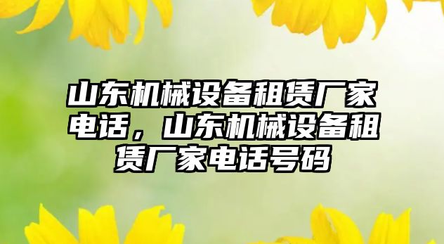 山東機械設(shè)備租賃廠家電話，山東機械設(shè)備租賃廠家電話號碼