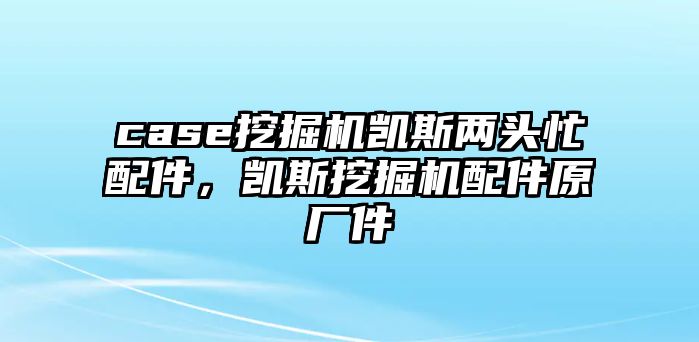 case挖掘機(jī)凱斯兩頭忙配件，凱斯挖掘機(jī)配件原廠件