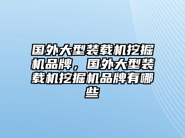 國外大型裝載機挖掘機品牌，國外大型裝載機挖掘機品牌有哪些