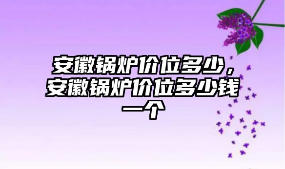 安徽鍋爐價位多少，安徽鍋爐價位多少錢一個