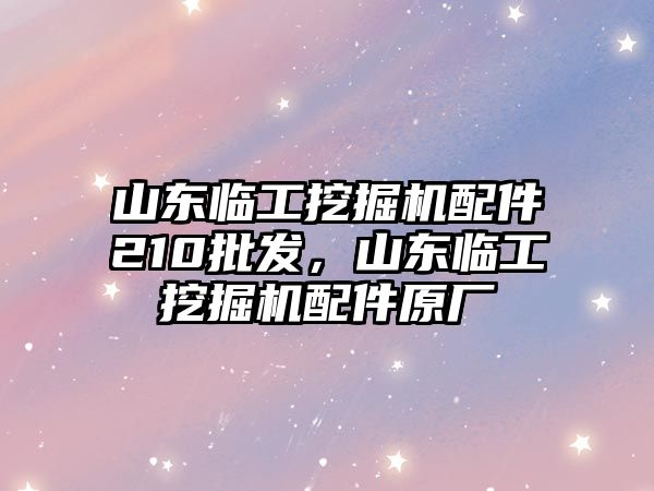 山東臨工挖掘機(jī)配件210批發(fā)，山東臨工挖掘機(jī)配件原廠