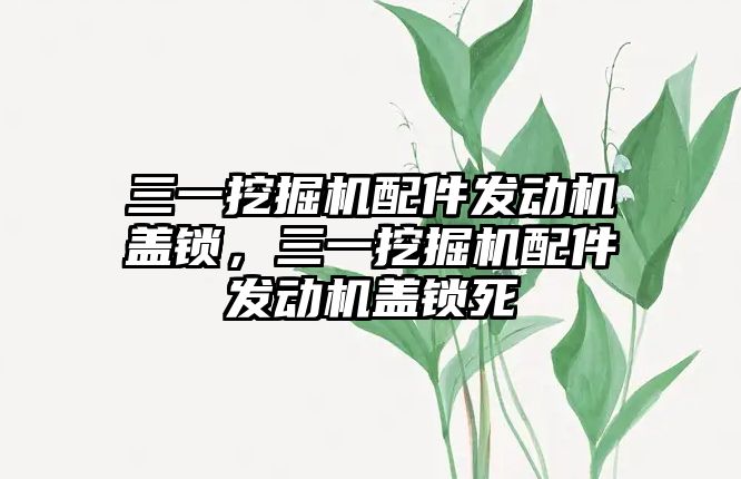 三一挖掘機配件發(fā)動機蓋鎖，三一挖掘機配件發(fā)動機蓋鎖死