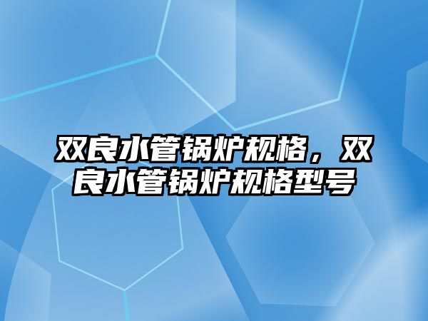 雙良水管鍋爐規(guī)格，雙良水管鍋爐規(guī)格型號