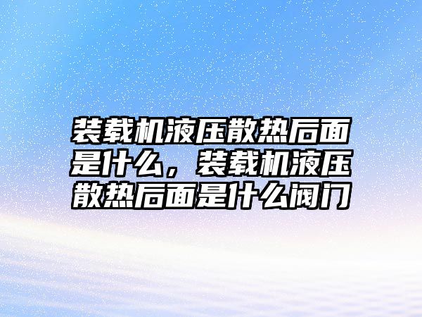 裝載機液壓散熱后面是什么，裝載機液壓散熱后面是什么閥門