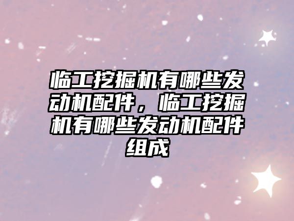 臨工挖掘機有哪些發(fā)動機配件，臨工挖掘機有哪些發(fā)動機配件組成