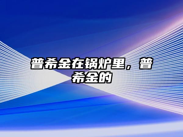 普希金在鍋爐里，普希金的