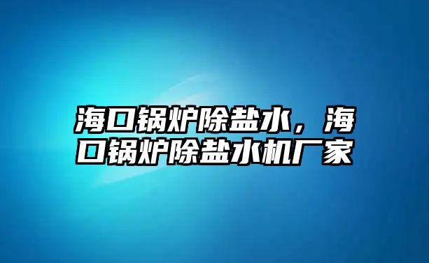 ?？阱仩t除鹽水，?？阱仩t除鹽水機廠家