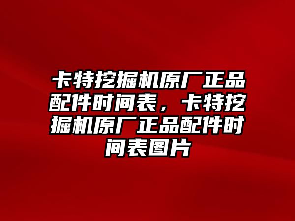 卡特挖掘機(jī)原廠正品配件時(shí)間表，卡特挖掘機(jī)原廠正品配件時(shí)間表圖片