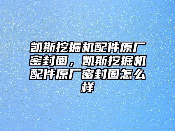 凱斯挖掘機(jī)配件原廠密封圈，凱斯挖掘機(jī)配件原廠密封圈怎么樣