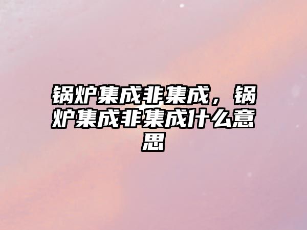 鍋爐集成非集成，鍋爐集成非集成什么意思