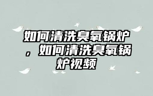 如何清洗臭氧鍋爐，如何清洗臭氧鍋爐視頻