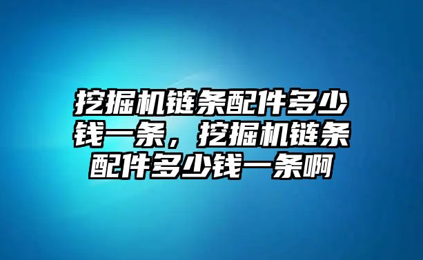 挖掘機鏈條配件多少錢一條，挖掘機鏈條配件多少錢一條啊