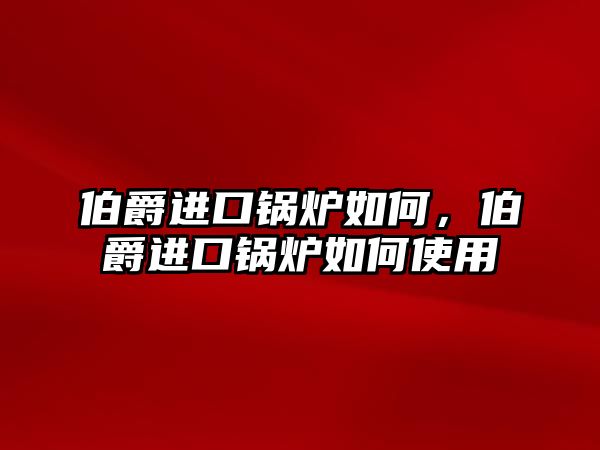 伯爵進(jìn)口鍋爐如何，伯爵進(jìn)口鍋爐如何使用