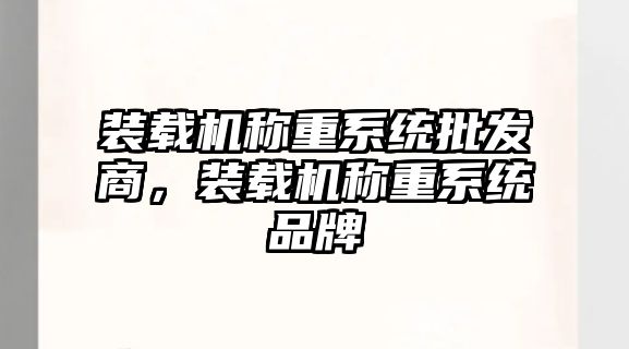 裝載機(jī)稱重系統(tǒng)批發(fā)商，裝載機(jī)稱重系統(tǒng)品牌