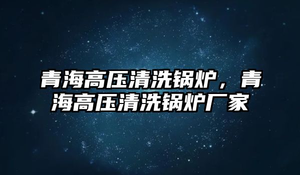 青海高壓清洗鍋爐，青海高壓清洗鍋爐廠家