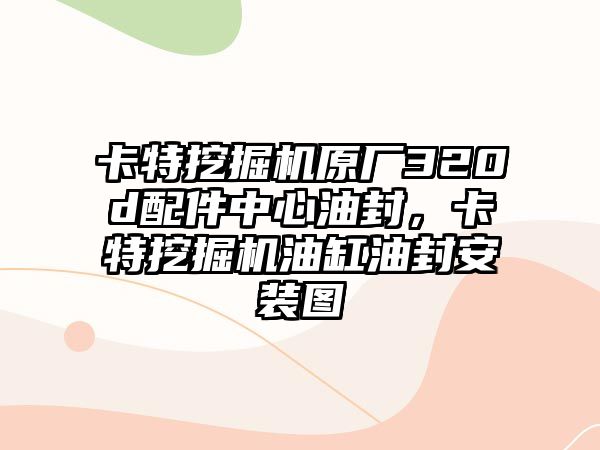 卡特挖掘機(jī)原廠320d配件中心油封，卡特挖掘機(jī)油缸油封安裝圖