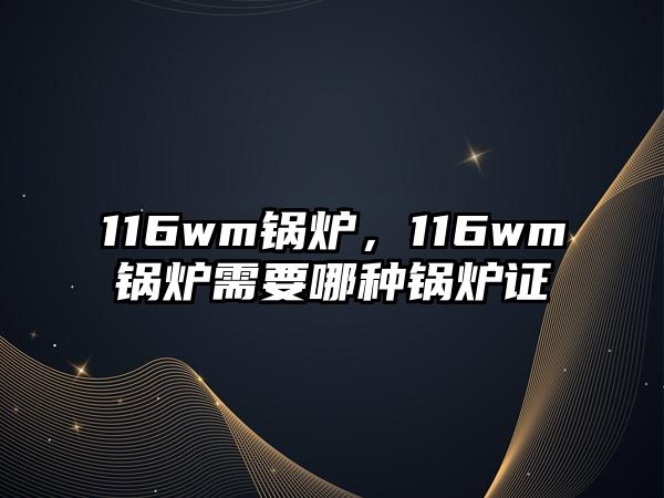 116wm鍋爐，116wm鍋爐需要哪種鍋爐證