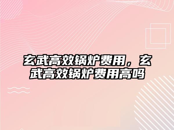 玄武高效鍋爐費用，玄武高效鍋爐費用高嗎