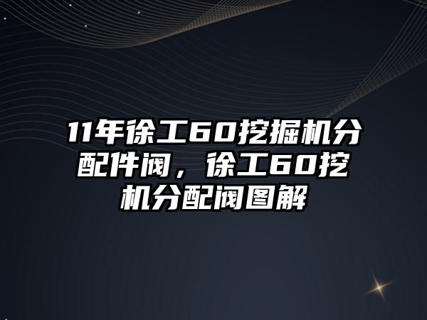 11年徐工60挖掘機(jī)分配件閥，徐工60挖機(jī)分配閥圖解