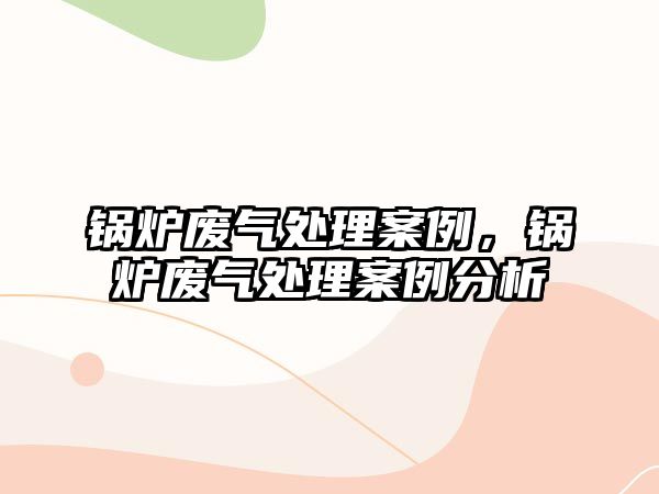 鍋爐廢氣處理案例，鍋爐廢氣處理案例分析