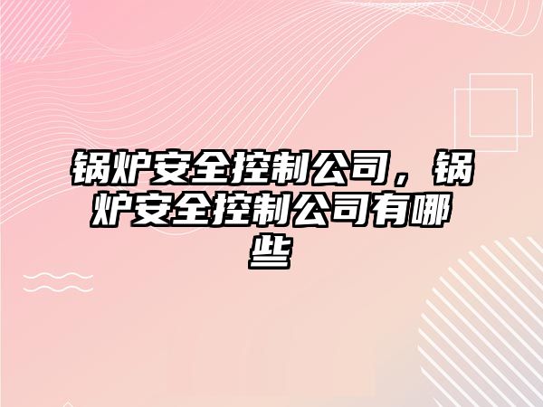 鍋爐安全控制公司，鍋爐安全控制公司有哪些