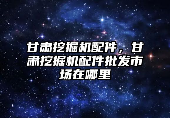 甘肅挖掘機配件，甘肅挖掘機配件批發(fā)市場在哪里