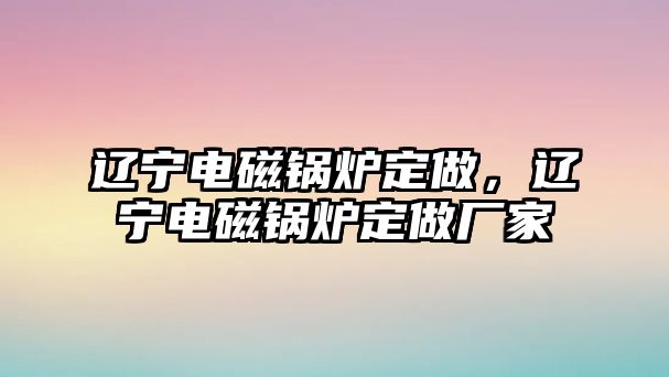 遼寧電磁鍋爐定做，遼寧電磁鍋爐定做廠家