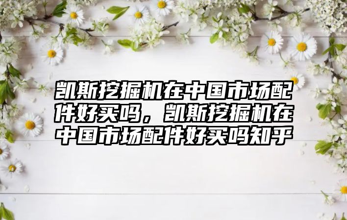 凱斯挖掘機在中國市場配件好買嗎，凱斯挖掘機在中國市場配件好買嗎知乎