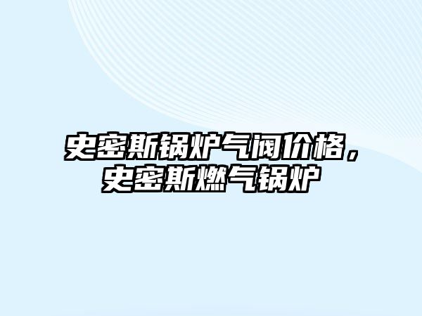 史密斯鍋爐氣閥價格，史密斯燃氣鍋爐