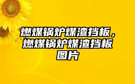 燃煤鍋爐煤渣擋板，燃煤鍋爐煤渣擋板圖片