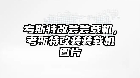 考斯特改裝裝載機(jī)，考斯特改裝裝載機(jī)圖片