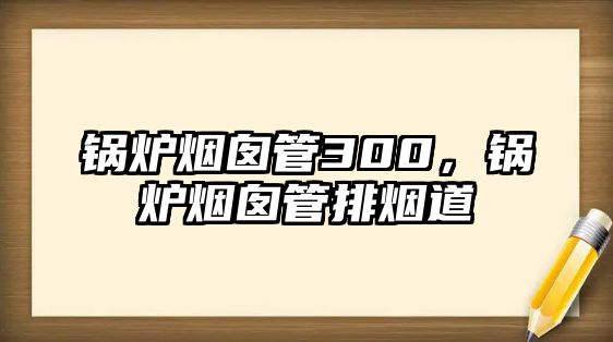 鍋爐煙囪管300，鍋爐煙囪管排煙道