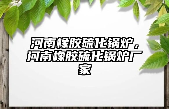 河南橡膠硫化鍋爐，河南橡膠硫化鍋爐廠家