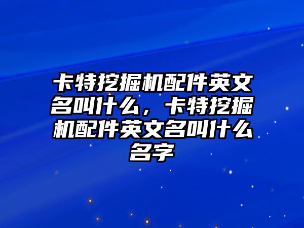 卡特挖掘機(jī)配件英文名叫什么，卡特挖掘機(jī)配件英文名叫什么名字