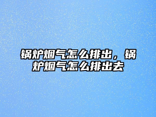 鍋爐煙氣怎么排出，鍋爐煙氣怎么排出去