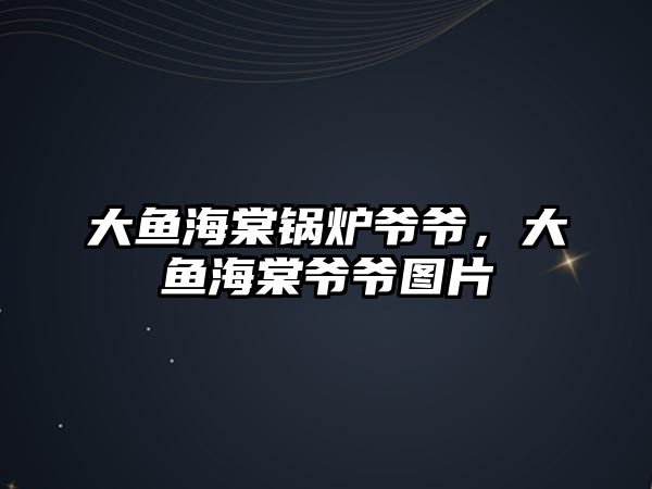 大魚海棠鍋爐爺爺，大魚海棠爺爺圖片