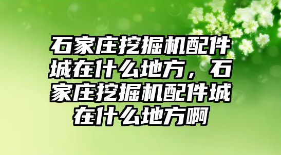 石家莊挖掘機配件城在什么地方，石家莊挖掘機配件城在什么地方啊