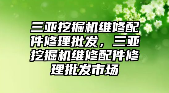 三亞挖掘機(jī)維修配件修理批發(fā)，三亞挖掘機(jī)維修配件修理批發(fā)市場